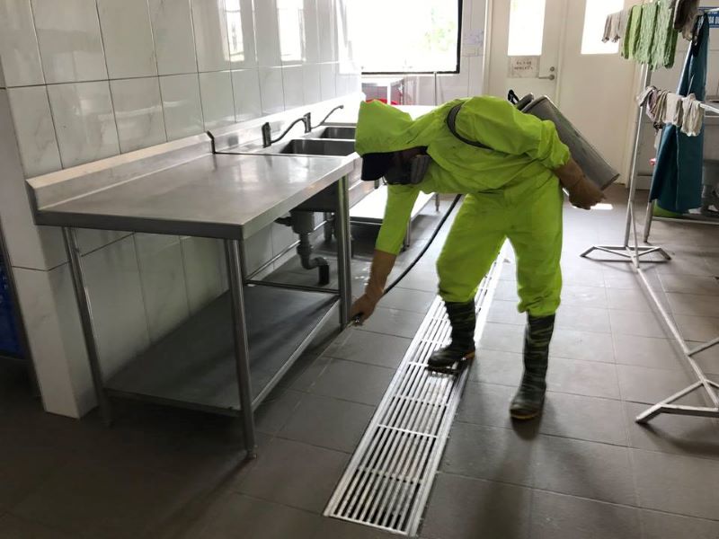 Thuyên Phương Pest Control