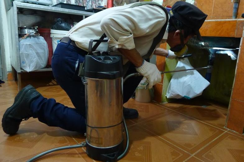 công ty diệt mối tại Huế