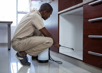 Công Ty Diệt Mối Thăng Long