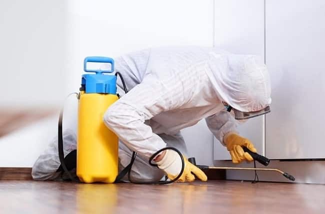 Công Ty Bảo Việt