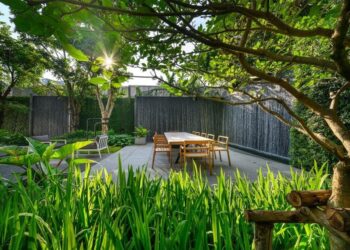 thiết kế thi công sân vườn tại đà nẵng